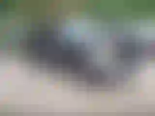 Vehicle Image- 2015 Ford F-150