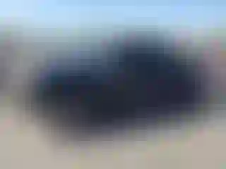 Vehicle Image- 2016 Ford F-150