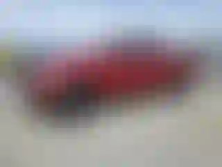 Vehicle Image- 2015 Ford F-150