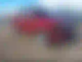Vehicle Image- 2018 Ford F-150