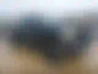 Vehicle Image- 2023 Ford F-150