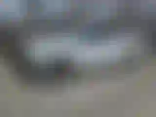 Vehicle Image- 2016 Ford F-150