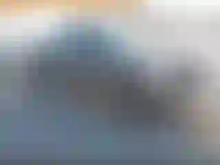 Vehicle Image- 2016 Ford F-150