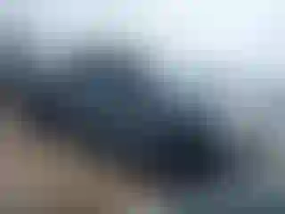 Vehicle Image- 2020 Ford F-150