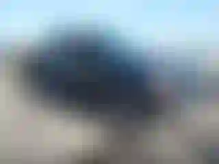 Vehicle Image- 2019 Ford F-150