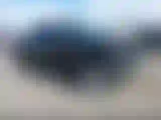 Vehicle Image- 2019 Ford F-150