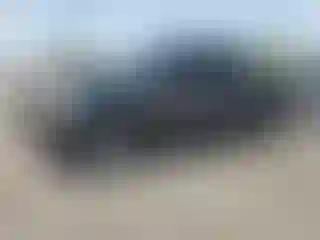 Vehicle Image- 2019 Ford F-150