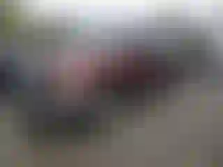 Vehicle Image- 2016 Ford F-150