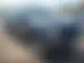 Vehicle Image- 2019 Ford F-150