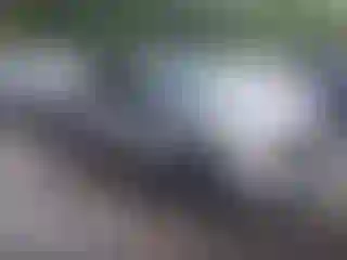 Vehicle Image- 2019 Ford F-150