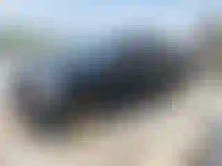 Vehicle Image- 2020 Ford F-150