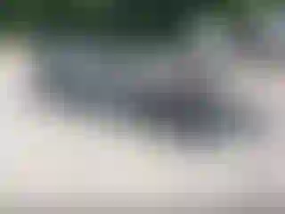 Vehicle Image- 2016 Ford F-150