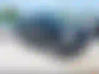 Vehicle Image- 2019 Ford F-150