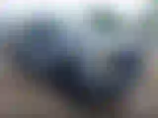 Vehicle Image- 2019 Ford F-150