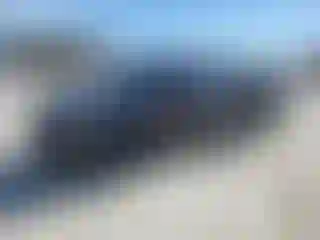 Vehicle Image- 2020 Ford F-150