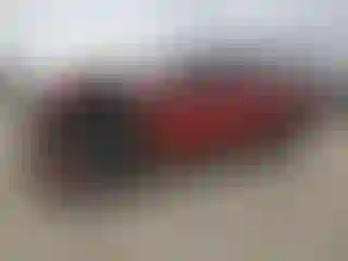 Vehicle Image- 2022 Ford F-150