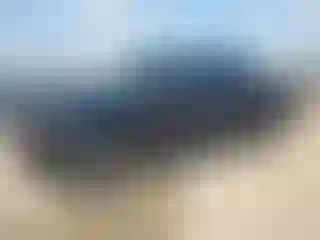 Vehicle Image- 2024 Ford F-150