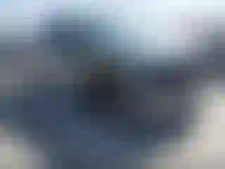 Vehicle Image- 2024 Ford F-150