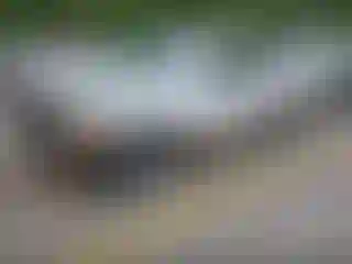 IMPORTOWO.pl