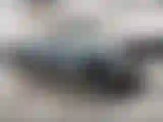 Vehicle Image- 1984 Ford F-150