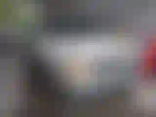 Vehicle Image- 1995 Ford F-150