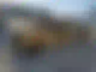 Vehicle Image- 1996 Ford F-150