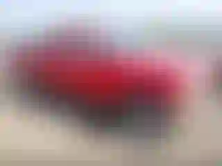 Vehicle Image- 1995 Ford F-150