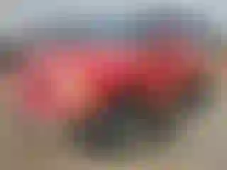 Vehicle Image- 1997 Ford F-150