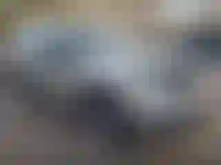 Vehicle Image- 2010 Ford F-150