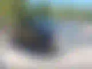 Vehicle Image- 2010 Ford F-150