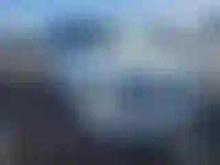 Vehicle Image- 2010 Ford F-150