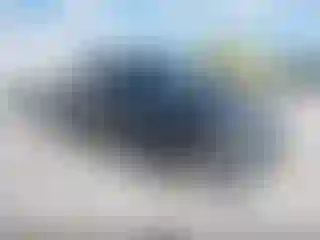 Vehicle Image- 2011 Ford F-150