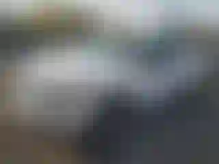 Vehicle Image- 2011 Ford F-150