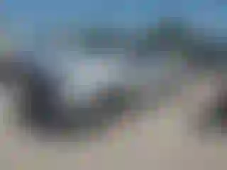 Vehicle Image- 2016 Ford F-150