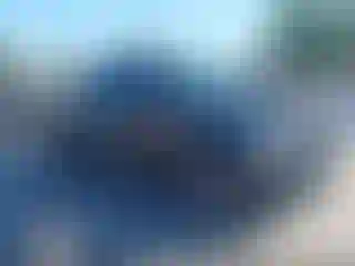 Vehicle Image- 2020 Ford F-150