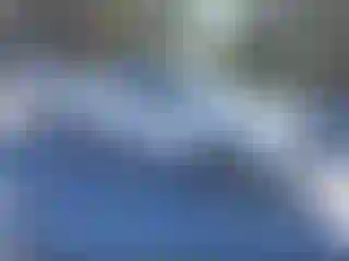 Vehicle Image- 2016 Ford F-150