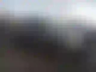 Vehicle Image- 2010 Ford F-150