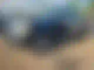 Vehicle Image- 2010 Ford F-150