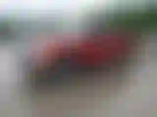 Vehicle Image- 2010 Ford F-150