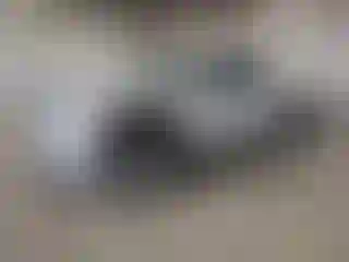 Vehicle Image- 2010 Ford F-150