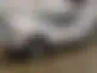 Vehicle Image- 2010 Ford F-150