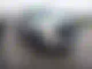 Vehicle Image- 2010 Ford F-150