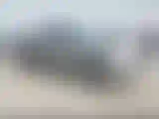 Vehicle Image- 2010 Ford F-150