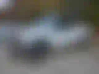 Vehicle Image- 2020 Ford F-150