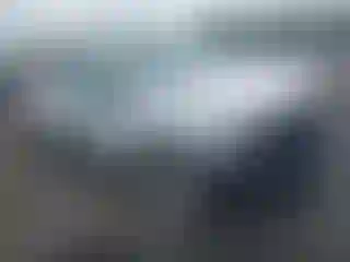 Vehicle Image- 2019 Ford F-150