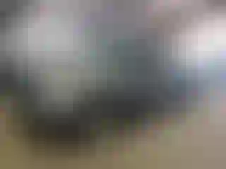 Vehicle Image- 2011 Ford F-150