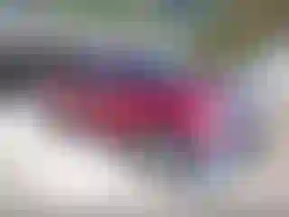 Vehicle Image- 2013 Ford F-150