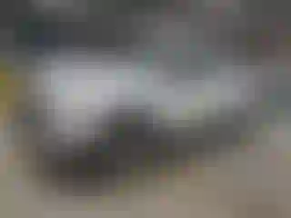 Vehicle Image- 2016 Ford F-150