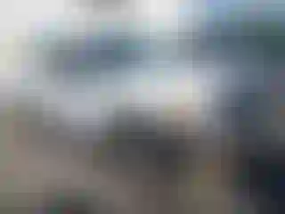 Vehicle Image- 2010 Ford F-150