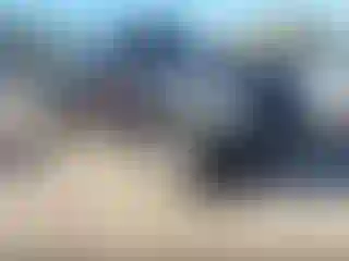 Vehicle Image- 2010 Ford F-150